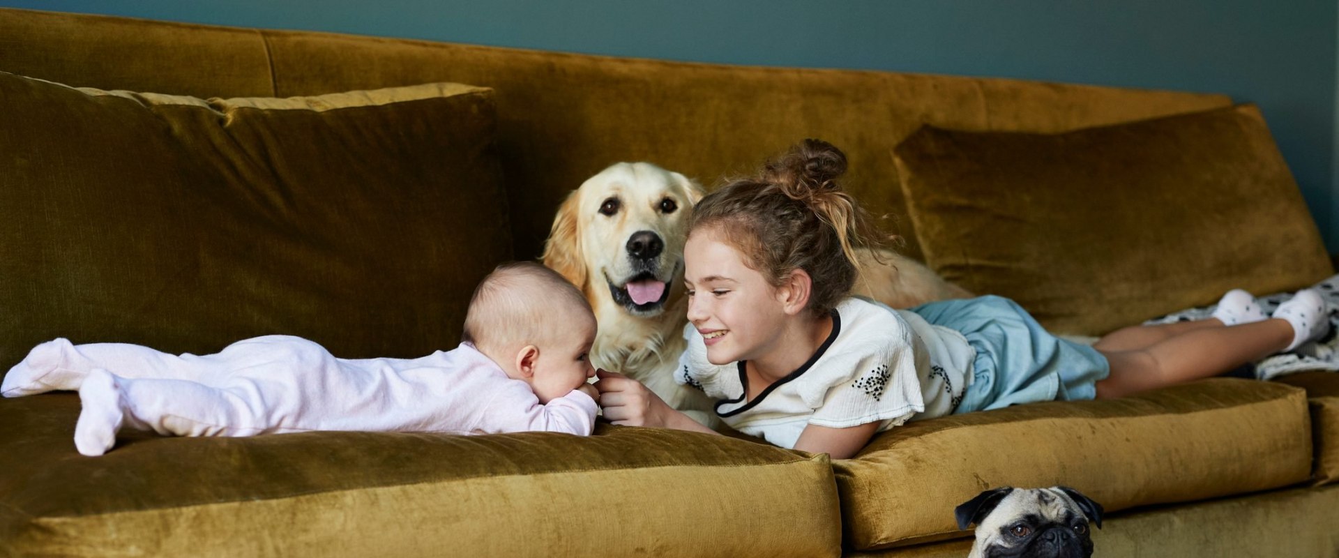 What is the safest dog around kids?