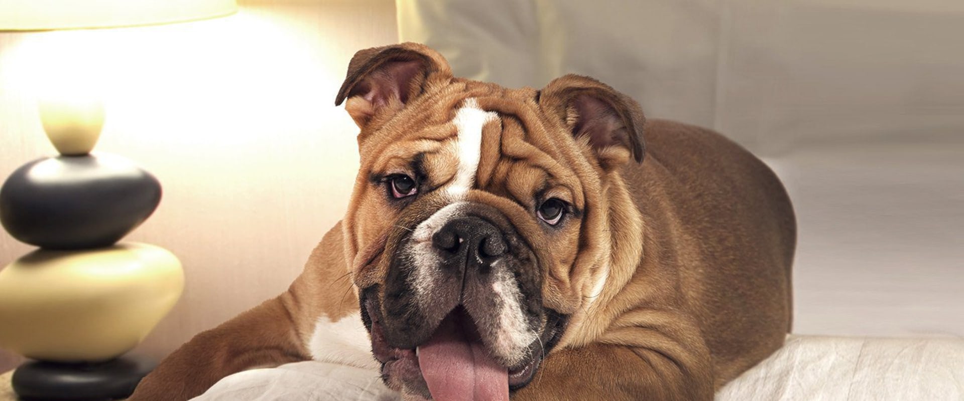What is a badass name for a dog?