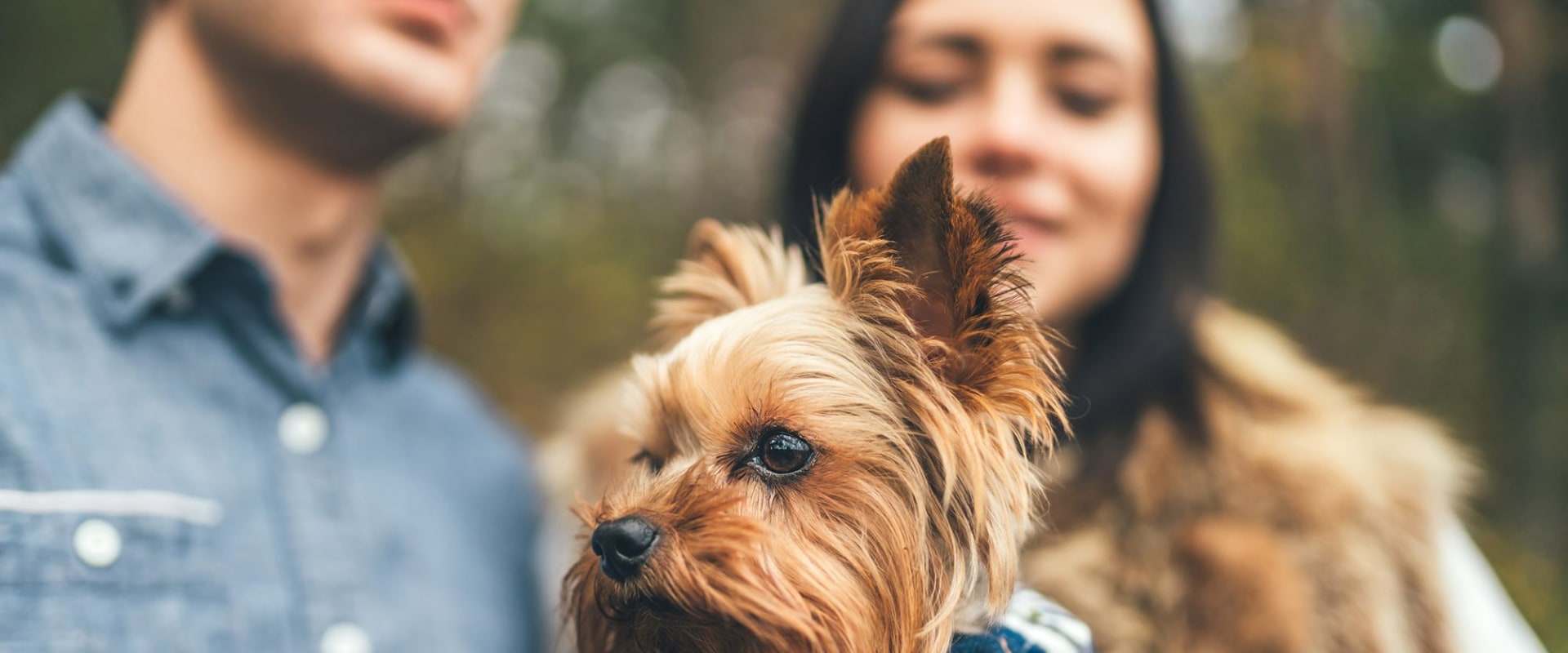 What is a unique name for a dog?
