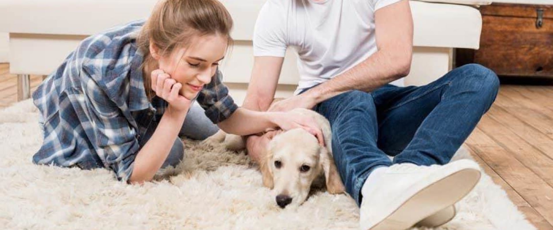 Which dog is best for beginners?