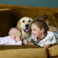 What is the safest dog around kids?
