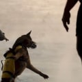 What dog name means warrior?