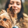 What is a unique name for a dog?