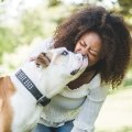 What is the calmest family dog?