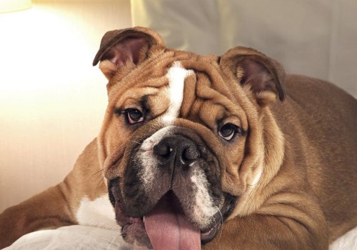 What is a badass name for a dog?