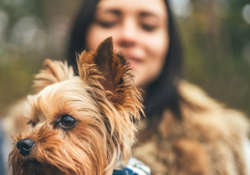 What is a unique name for a dog?